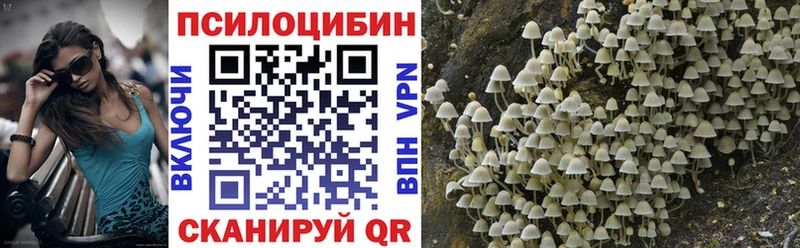 купить закладку  Владимир  Псилоцибиновые грибы мухоморы 