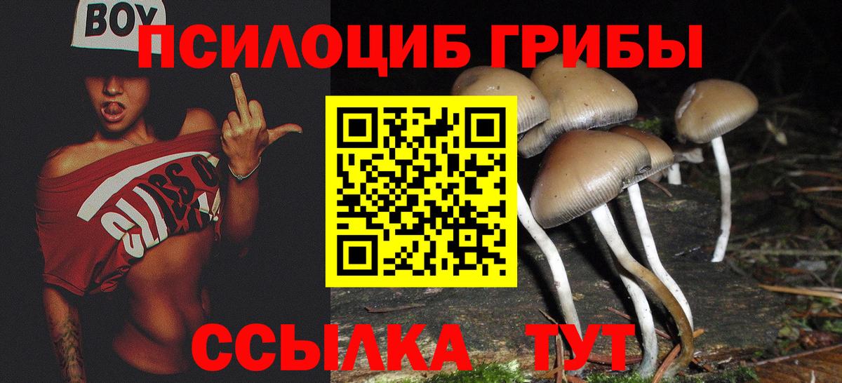 Псилоцибиновые грибы мицелий  Вход с VPN  Владимир  что такое   Галлюциногенные грибы мицелий 
